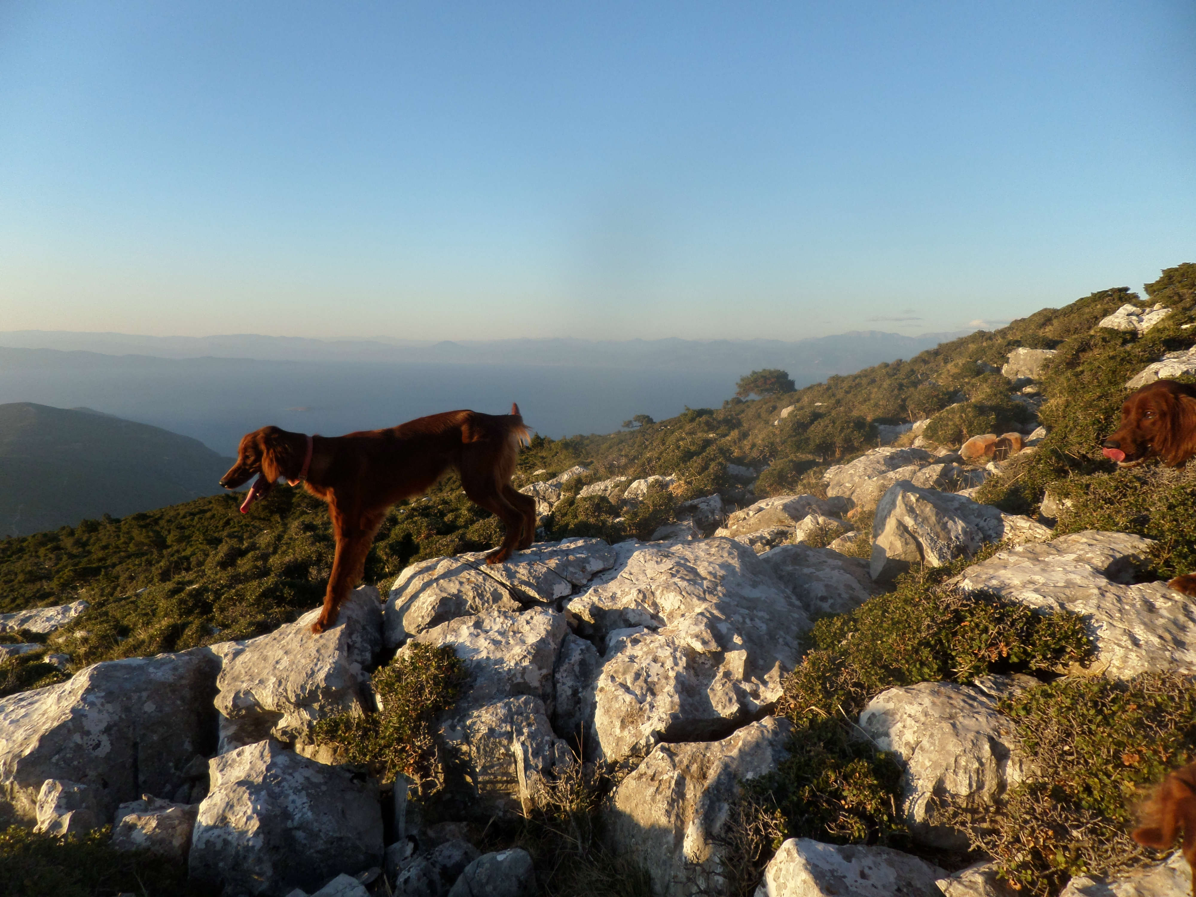 Post header image
