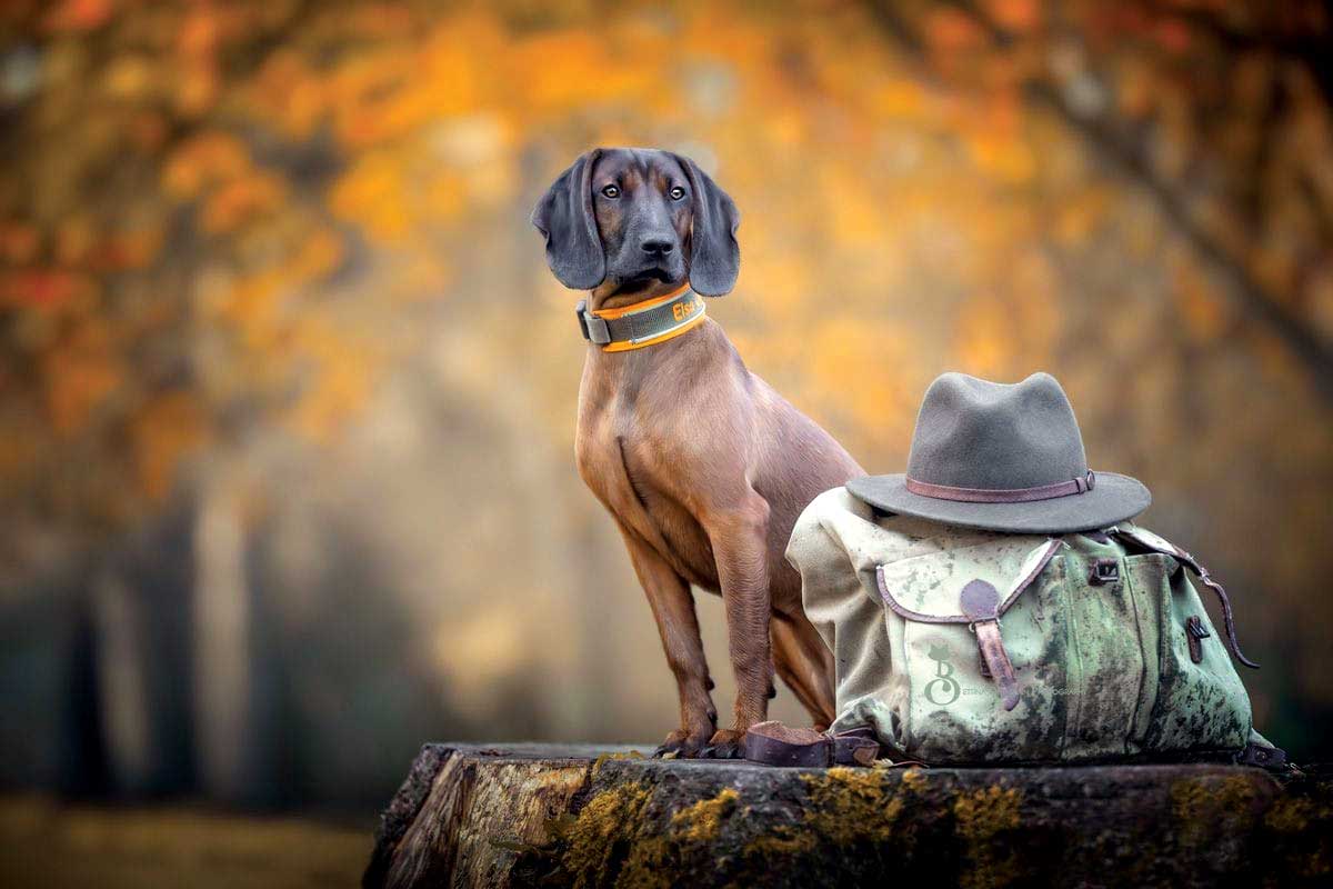 Post header image