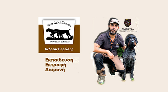 Post header image