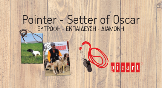 Post header image