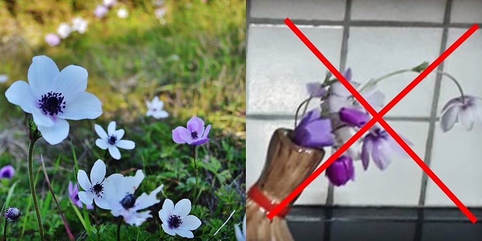 Post header image
